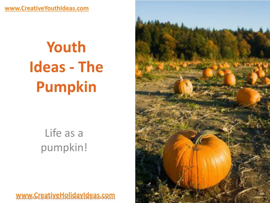 youth ideas the pumpkin