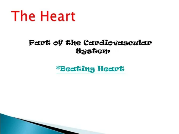 Part of the Cardiovascular System

*Beating Heart