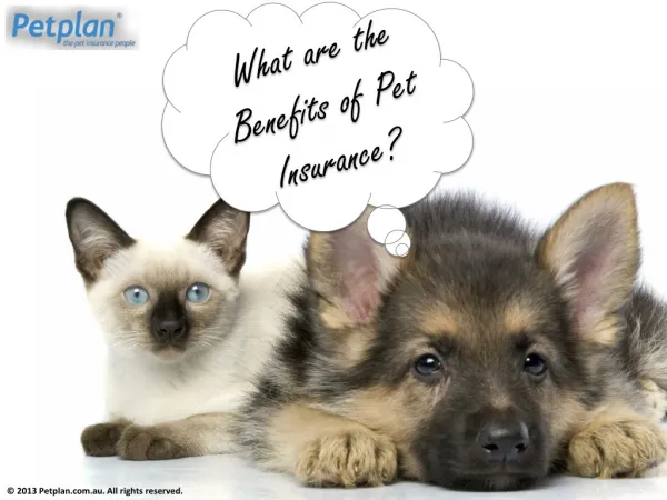 What are the Benefits of Pet Insurance?
