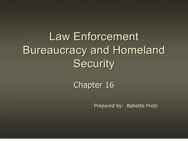law enforcement bureaucracy and homeland security