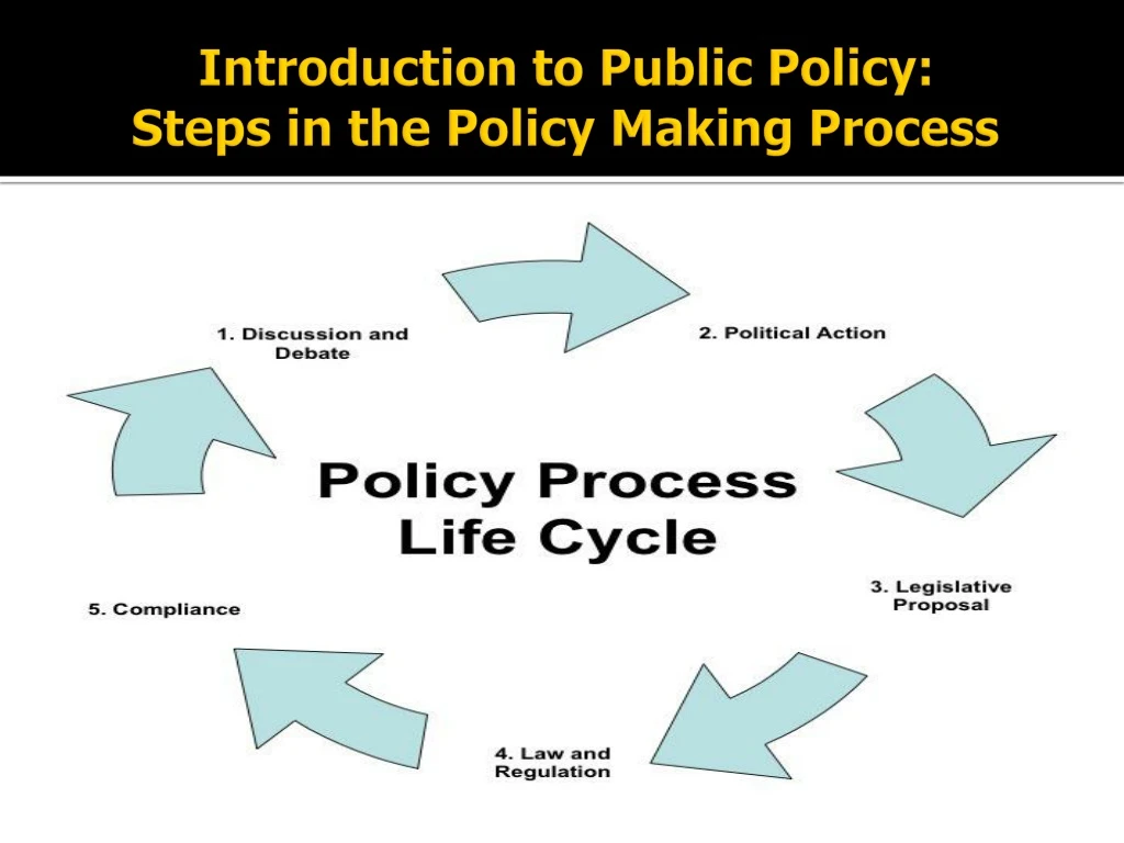 introduction to public policy steps in the policy making process