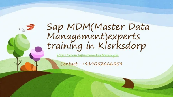 Sap mdm(master data management)experts online training in kl