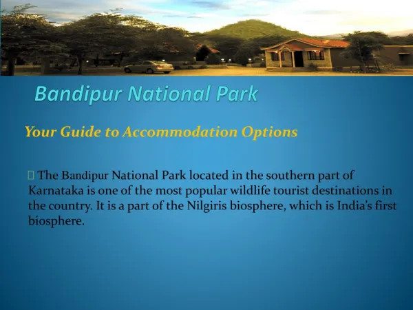 Wildlife Resorts in Bandipur