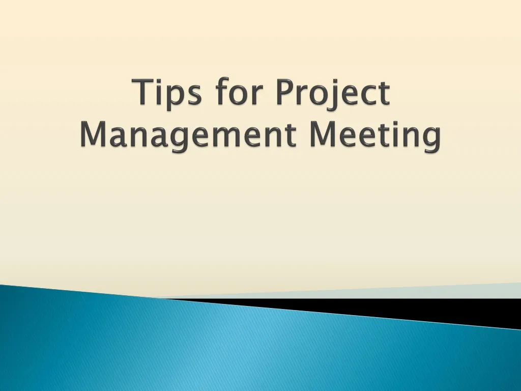 tips for project management meeting