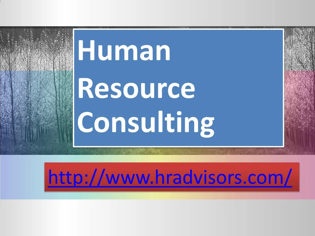 human resource consulting