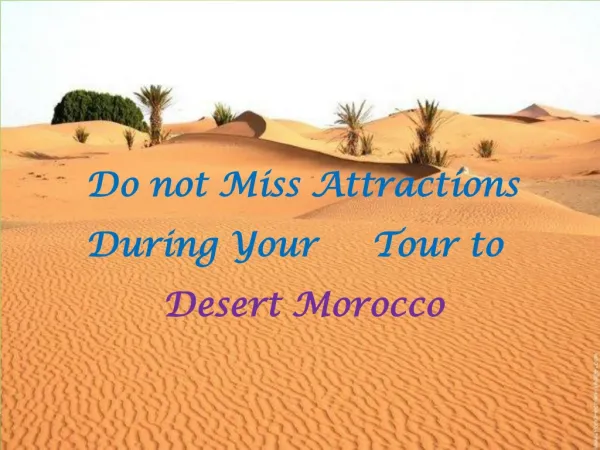 Do not Miss Attractions During Your Tour to