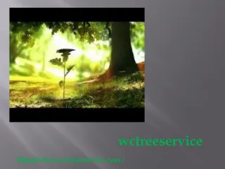 How To Fell A Tree - slide 1