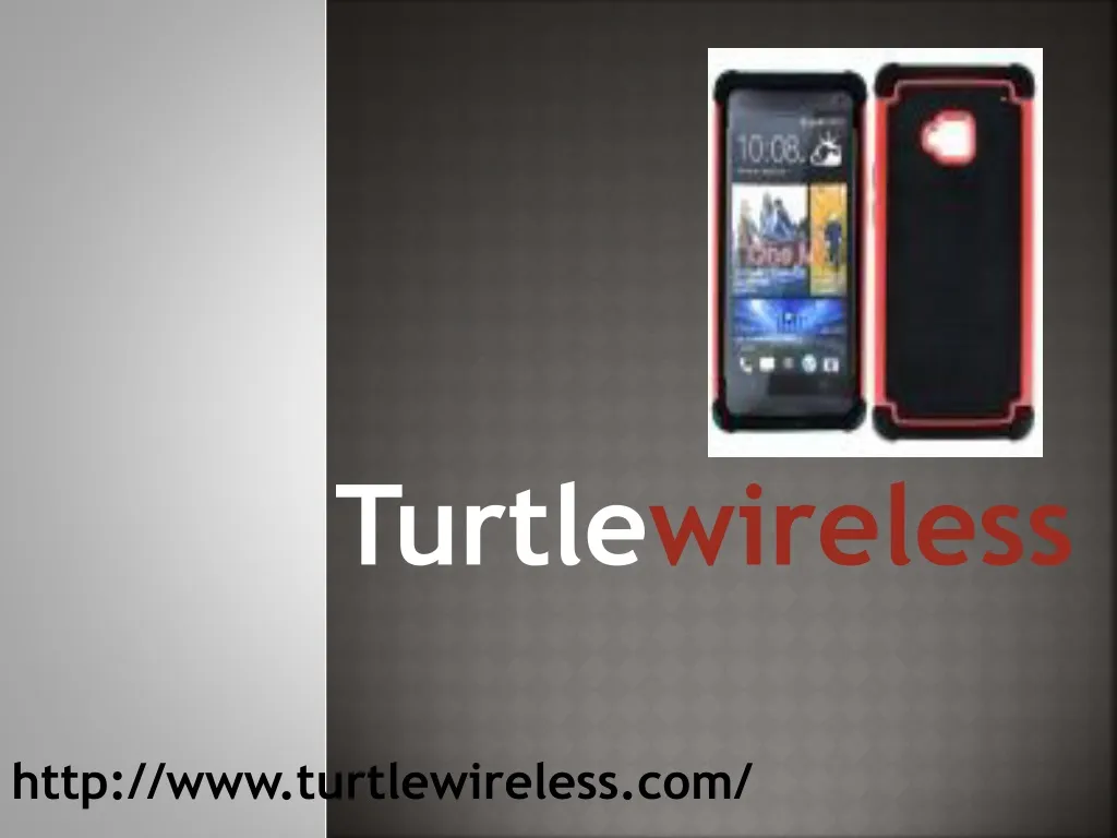 turtle wireless