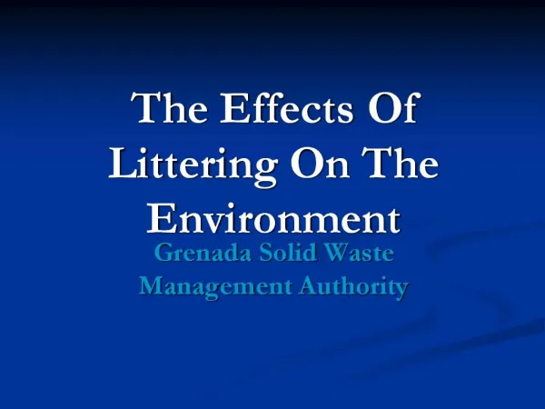 The Effects Of Littering On The Environment