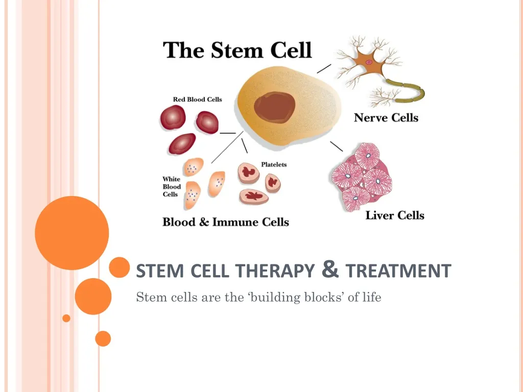 stem cell therapy treatment