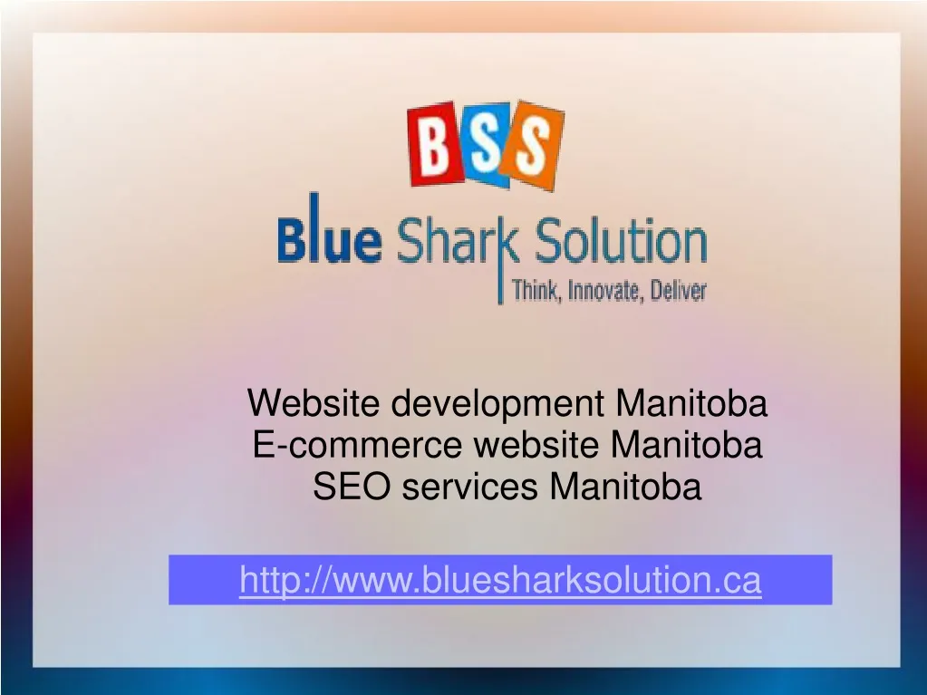 website development manitoba e commerce website
