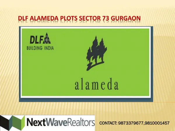 DLF Alameda Plots sector 73 Gurgaon Call- 91 9810001457