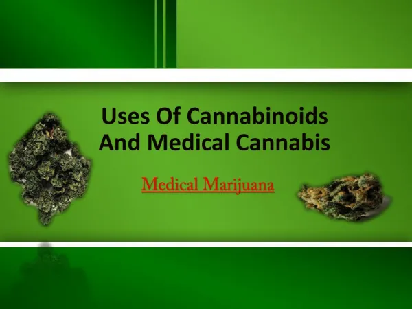 Uses Of Cannabinoids And Medical Cannabis