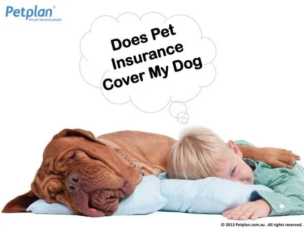 Does Pet Insurance Cover My Dog?