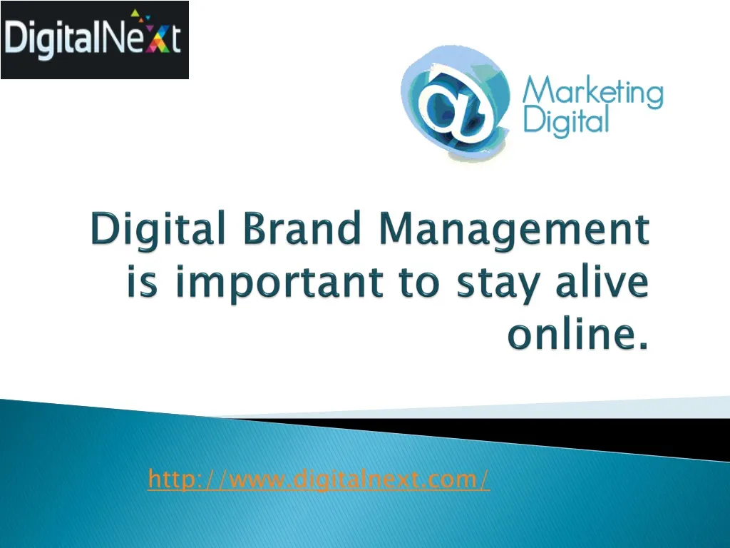 digital brand m anagement is important to stay alive online