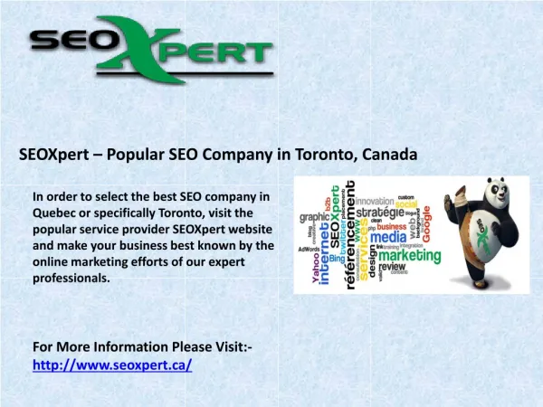 SEOXpert – Popular SEO Company in Toronto, Canada