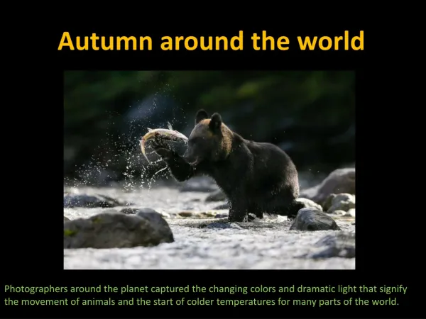 Autumn around the world 2013