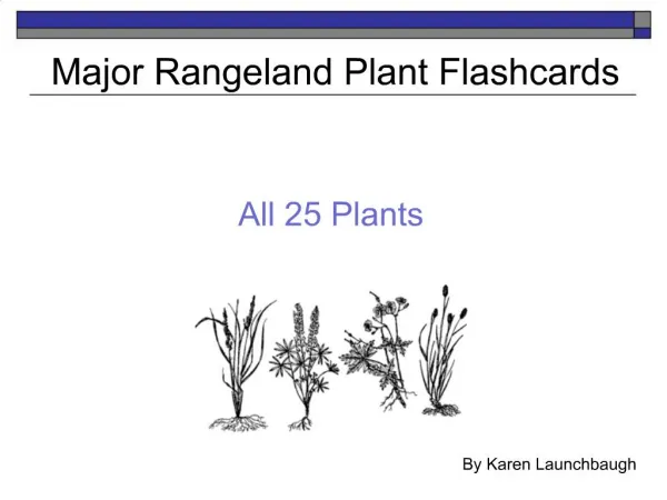 All 25 Plants