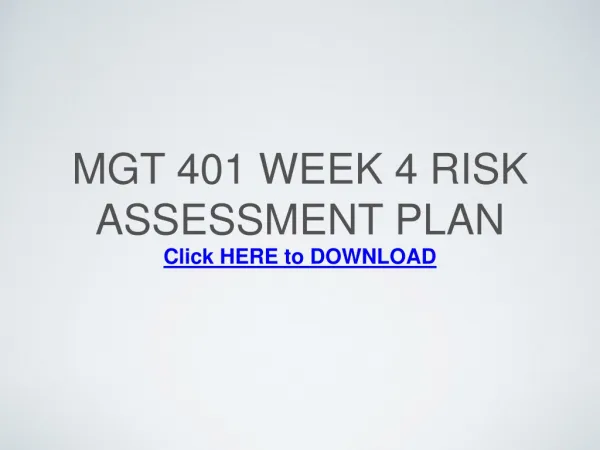 MGT 401 Week 4 Risk Assessment Plan