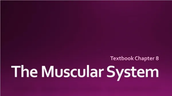 textbook chapter 8