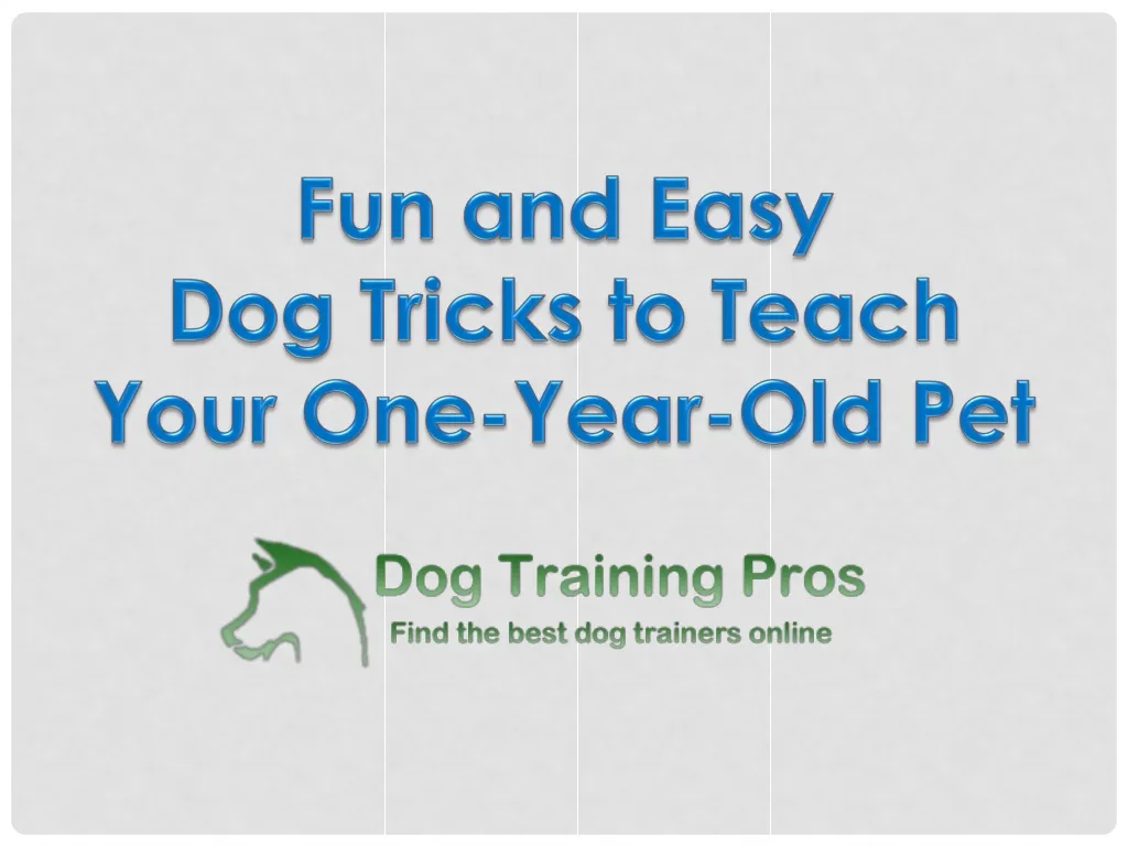fun and easy dog tricks to teach your one year