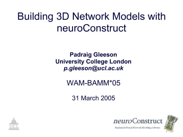 Building 3D Network Models with neuroConstruct