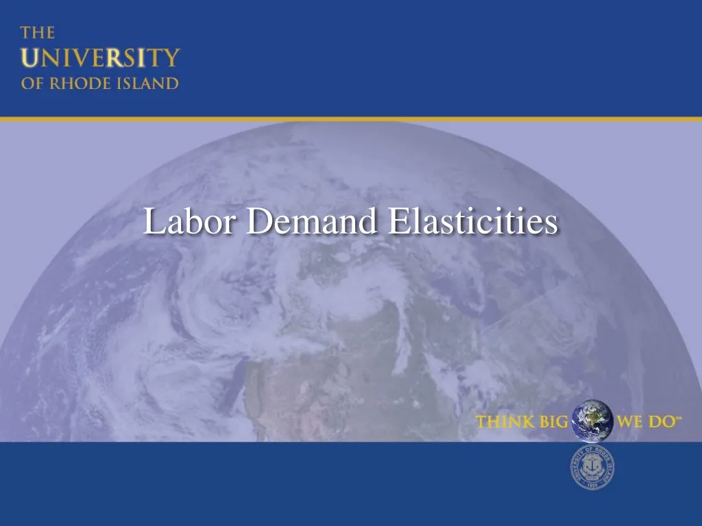 labor demand elasticities