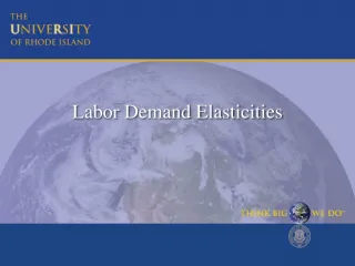 Labor Demand Elasticities - slide 1