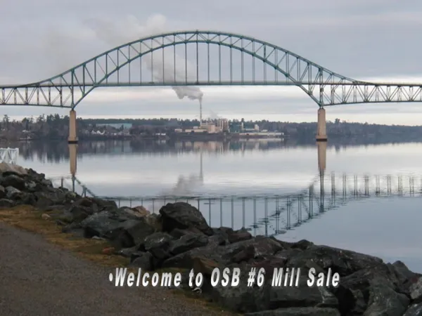 Welcome to OSB 6 Mill Sale