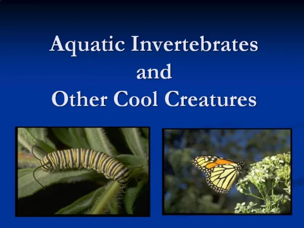 Aquatic Invertebrates 
and
Other Cool Creatures