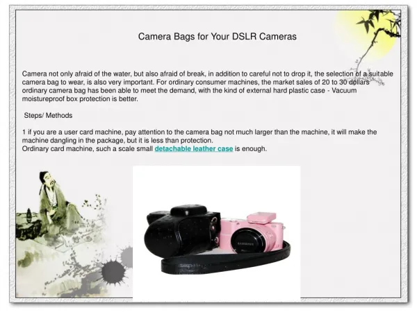 Camera Bags for Your DSLR Cameras
