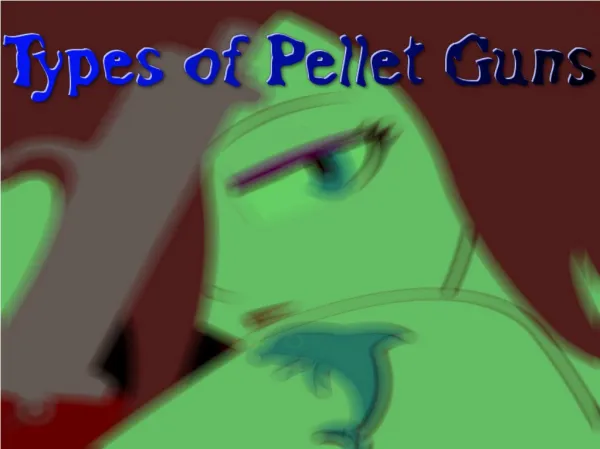 Types of Pellet Guns