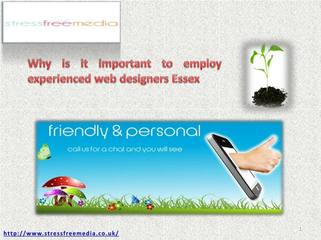 why is it important to employ experienced web designers essex