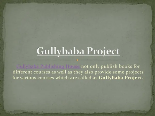 Gullybaba Project Report