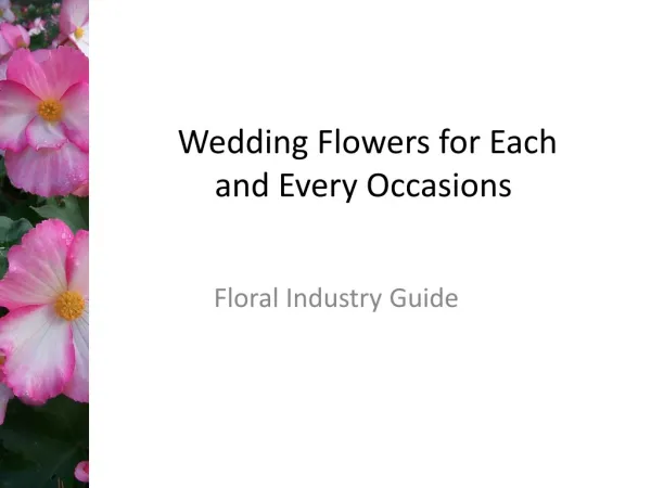 Wedding Flowers for Each and Every Occasions