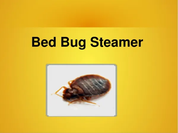 Bed Bug Steamer
