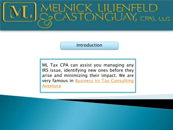Business Irs Tax Consulting Aventura
