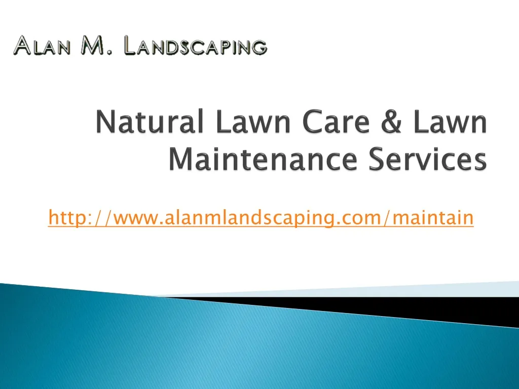 natural lawn care lawn maintenance services