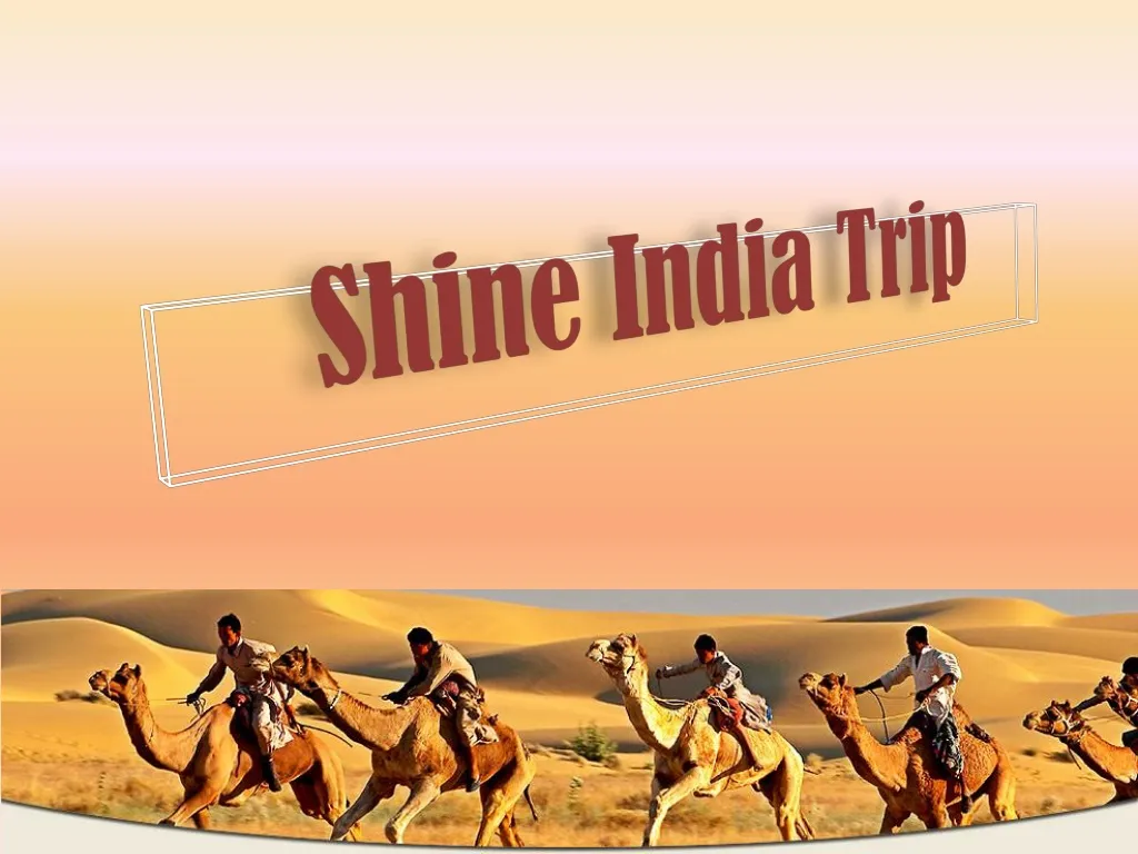 shine india trip