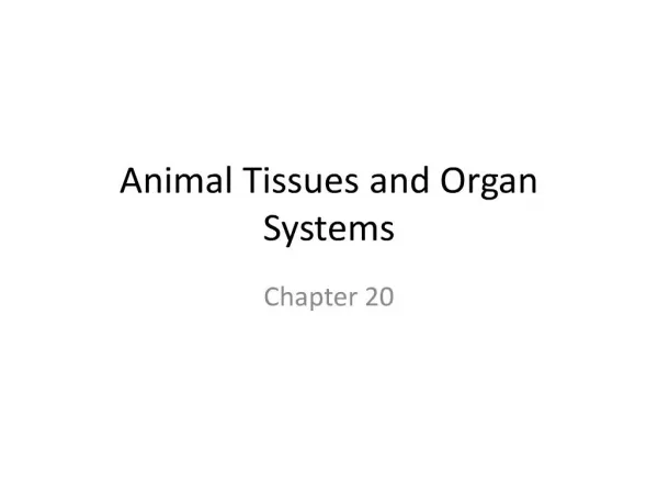 animal tissues and organ systems