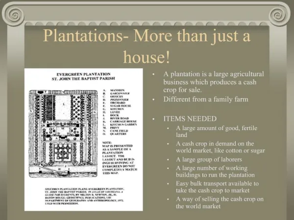 Plantations- More than just a house