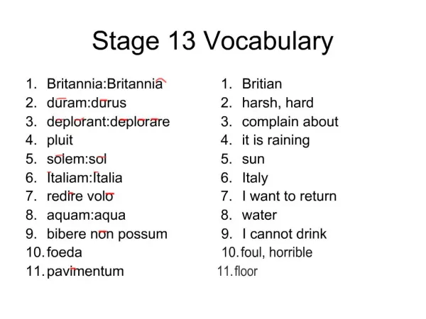 Stage 13 Vocabulary