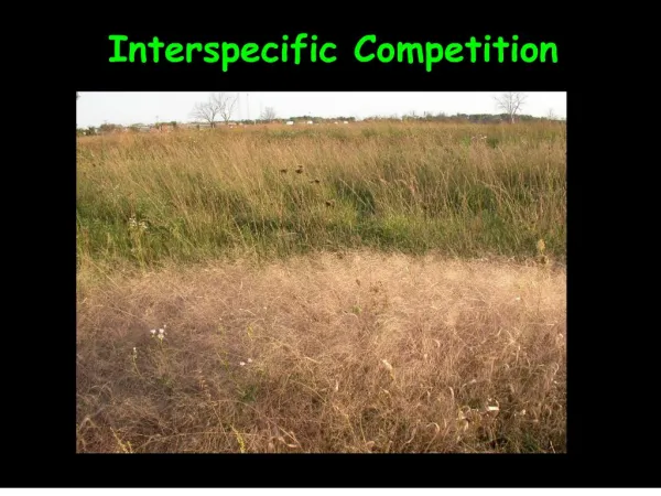 interspecific competition