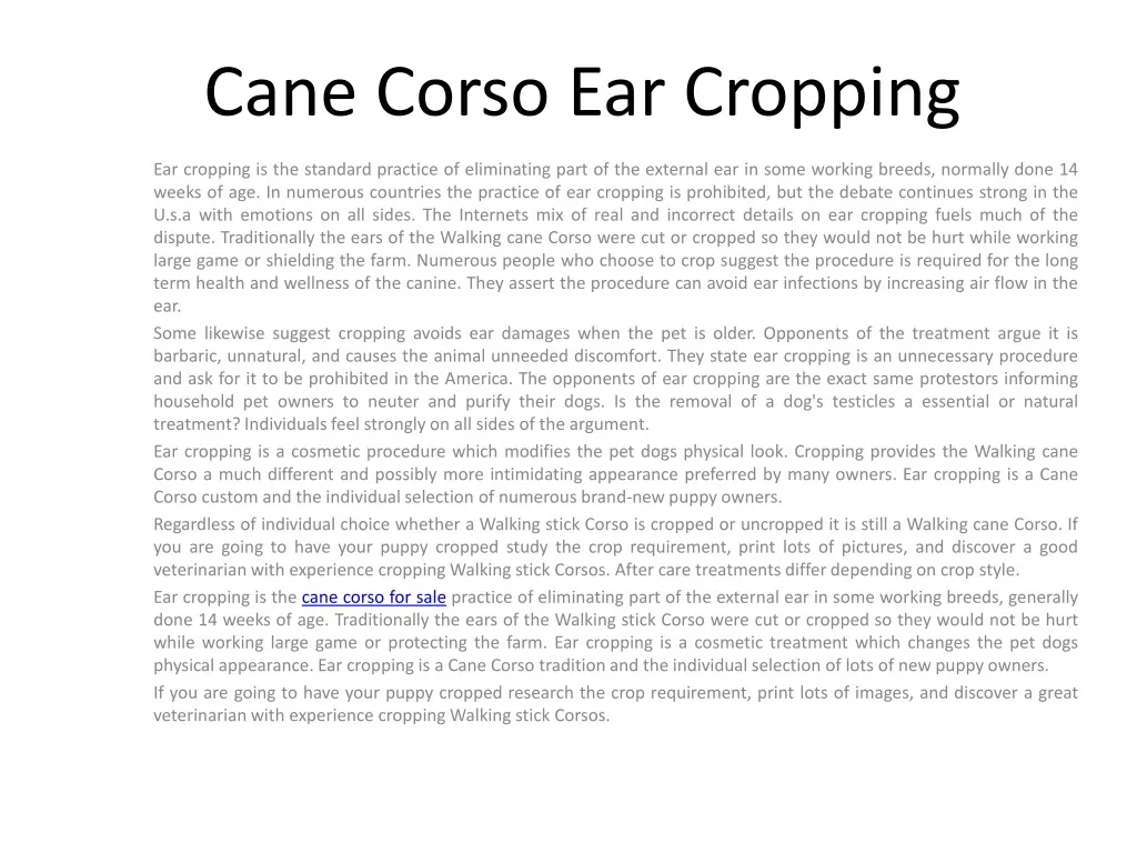cane corso ear cropping
