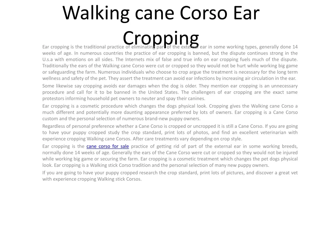walking cane corso ear cropping