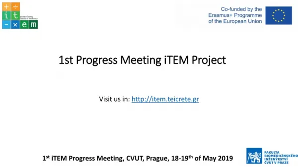 1st Progress Meeting iTEM Project