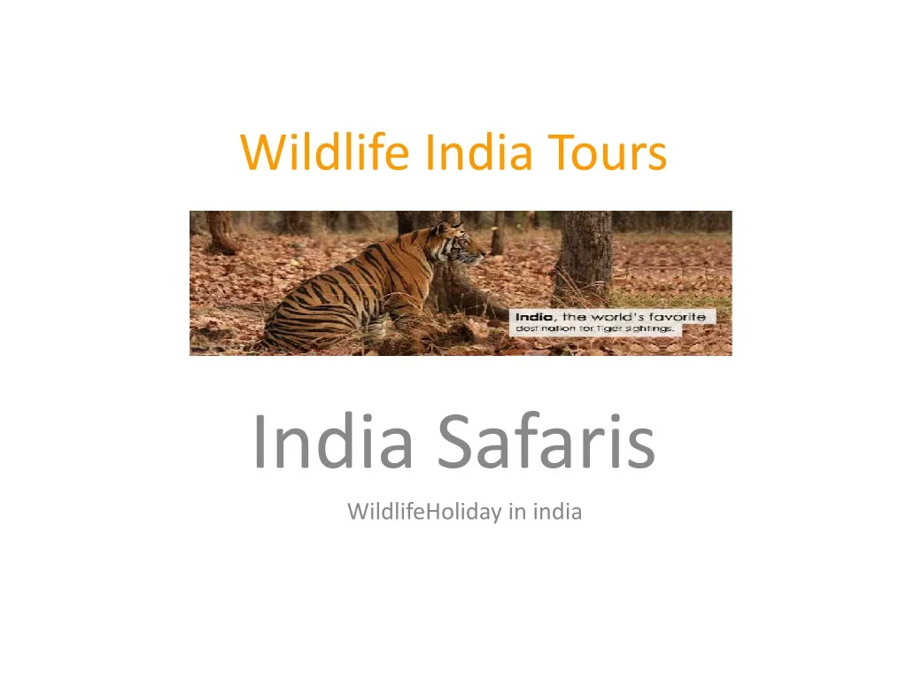 wildlife india tours