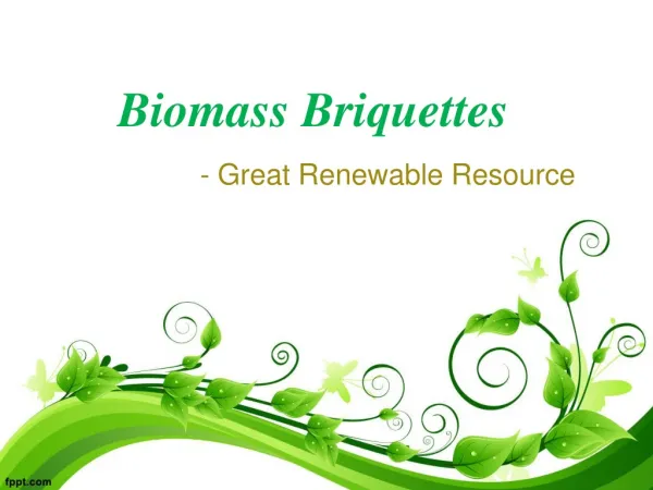 Biomass Briquettes- Great Renewable Resource
