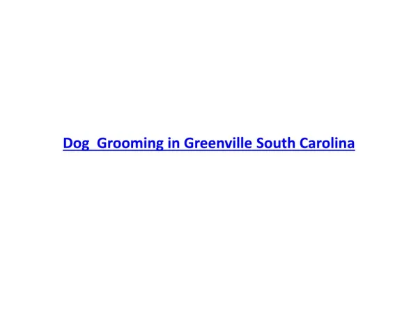 Dog Grooming in Greenville South Carolina