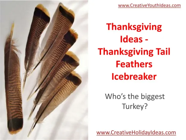Thanksgiving Ideas - Thanksgiving Tail Feathers Icebreaker
